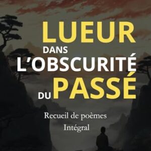 Lueur dans l'obscurité du passé - recueil de poèmes